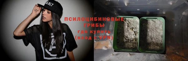 дурь Алзамай