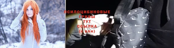 мяу мяу мука Алексин