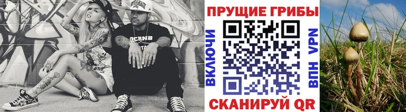 МЕГА рабочий сайт  Светлоград  Галлюциногенные грибы мухоморы 